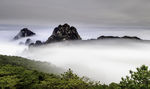 莲花峰风景