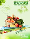 蔬菜海报