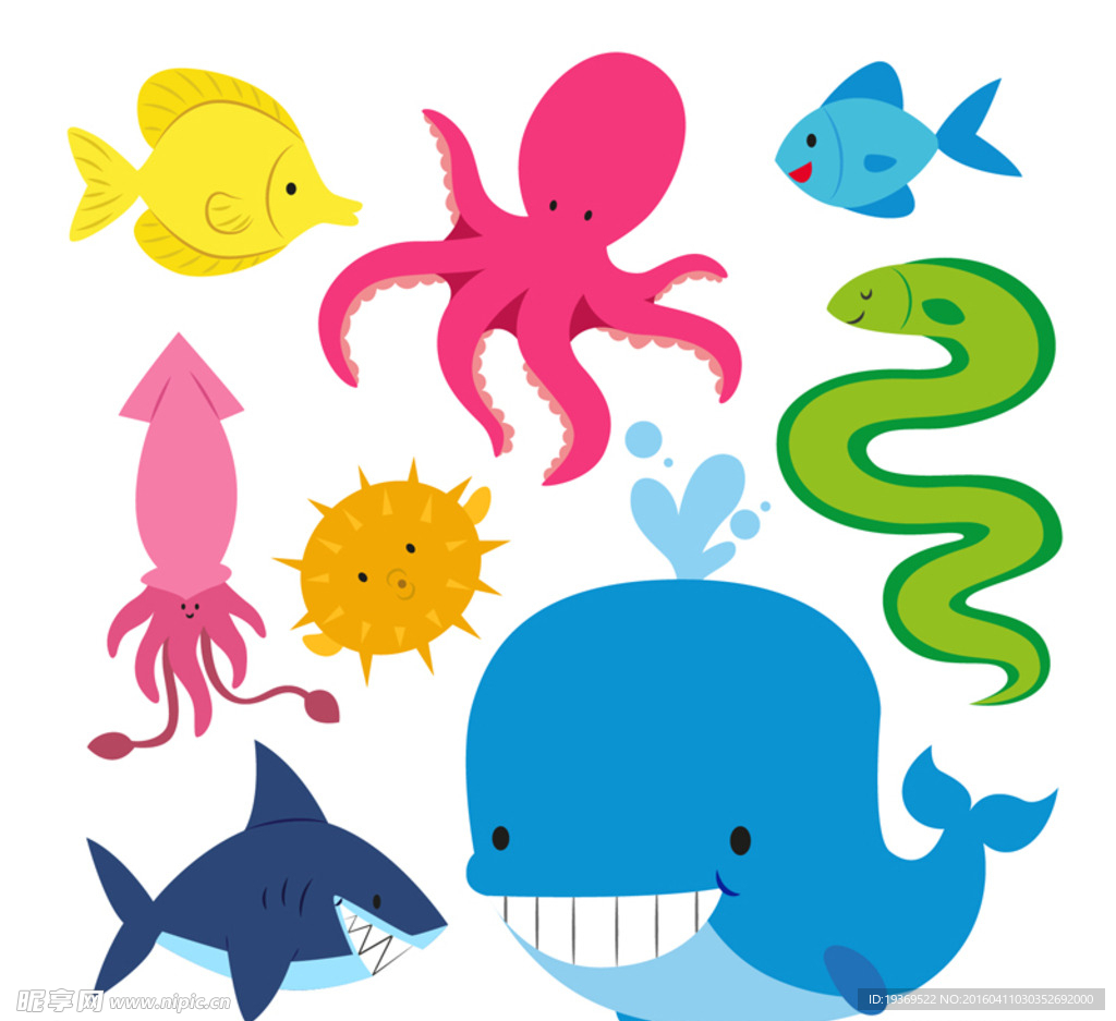 彩色海洋生物