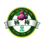 杨梅LOGO