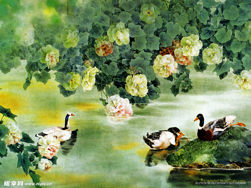 工笔画鸭戏