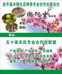 生态种养名片