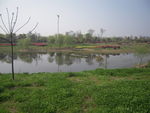 无锡湿地