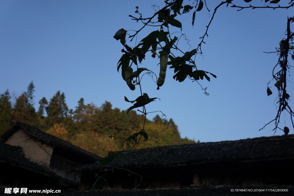 神仙居风光