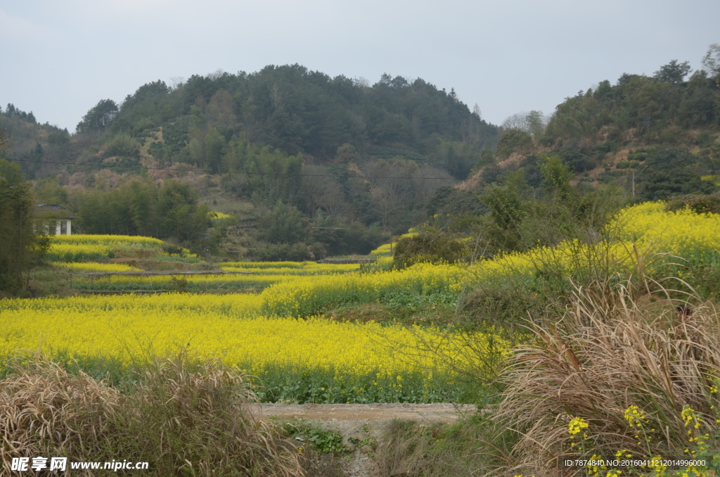 石潭村风光