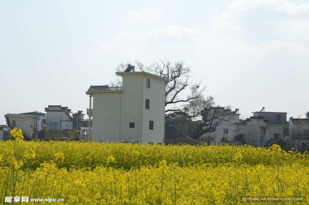 石潭村风光