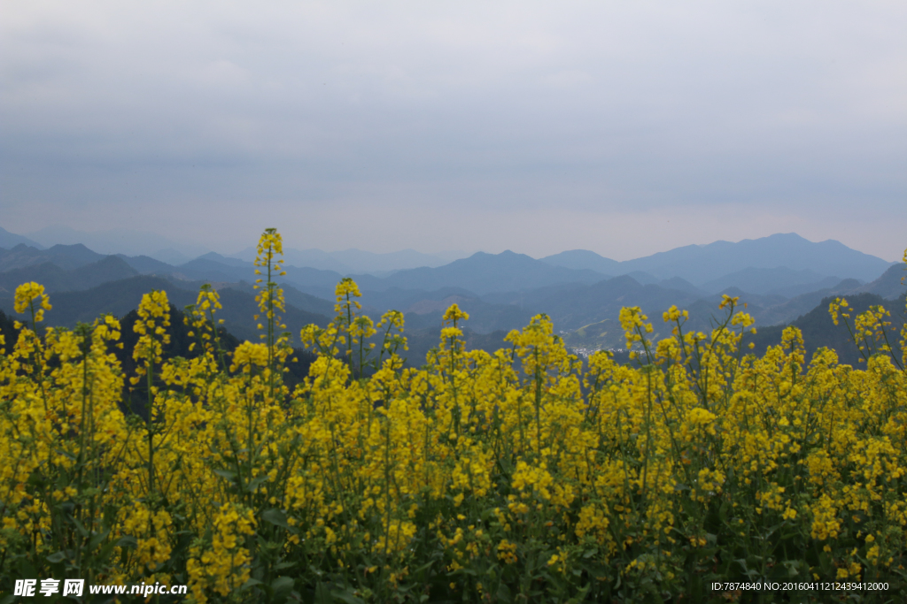 石潭村风光