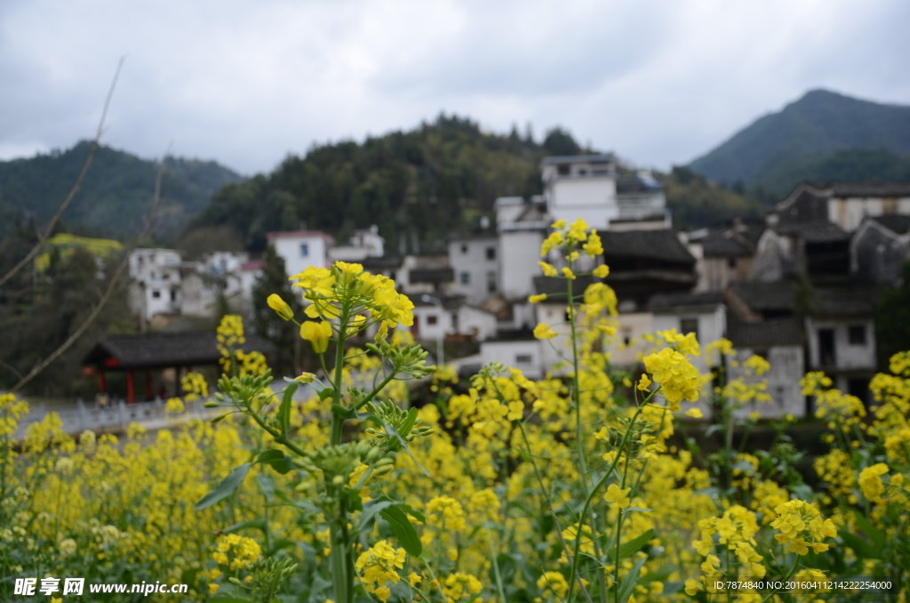 石潭村风光