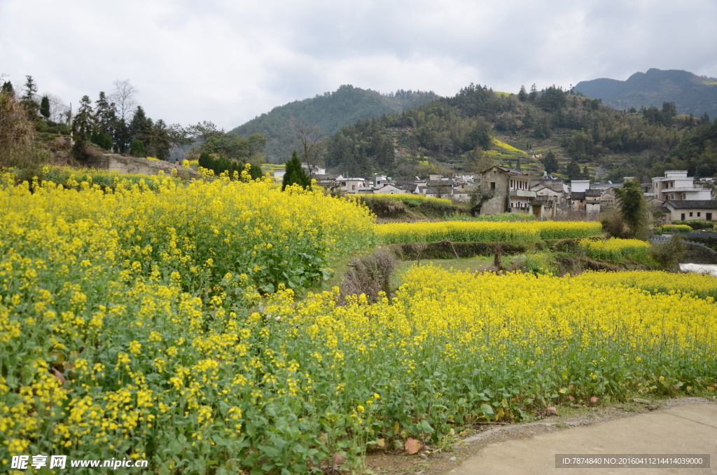 石潭村风光