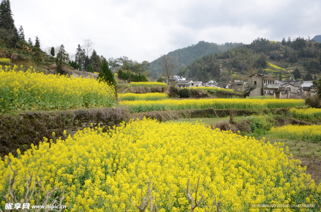 石潭村风光