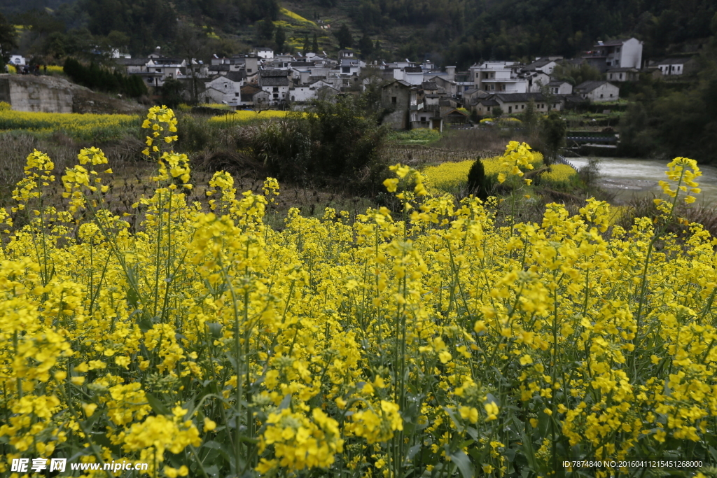 石潭村风光