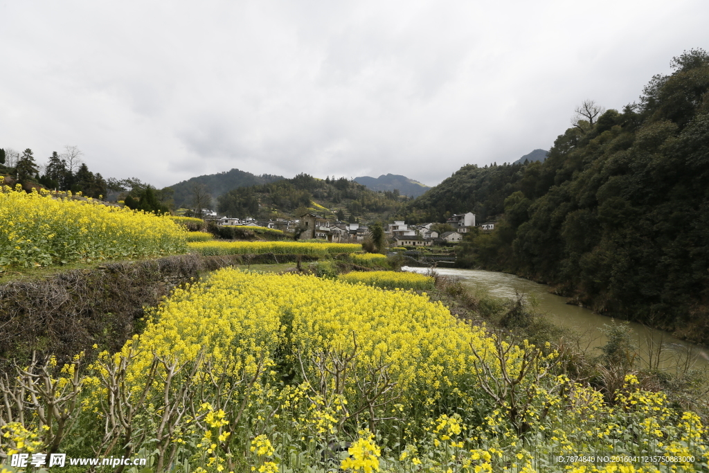 石潭村风光