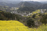 石潭村风光
