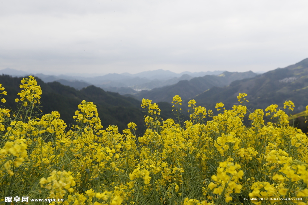 石潭村风光