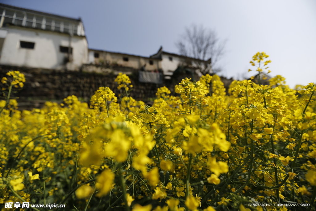 石潭村风光