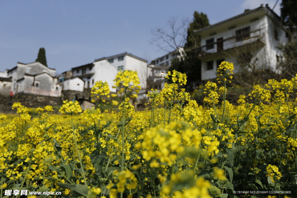 石潭村风光