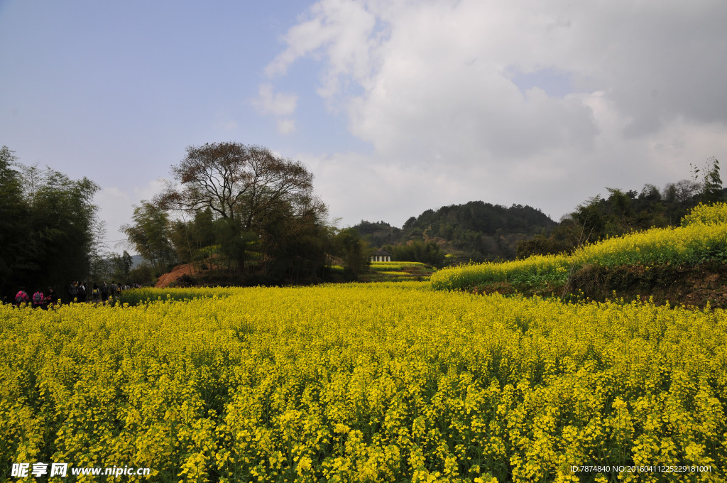 石潭村风光