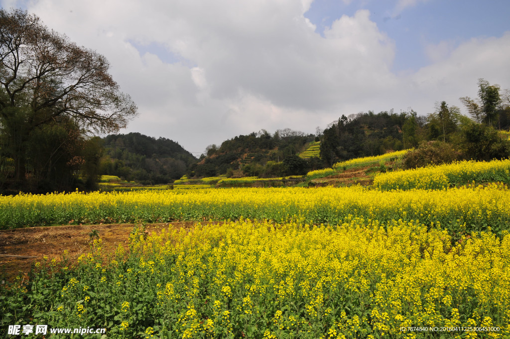 石潭村风光