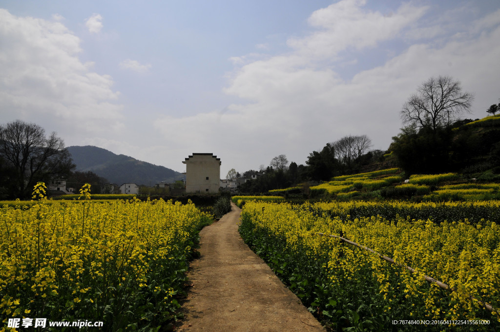 石潭村风光