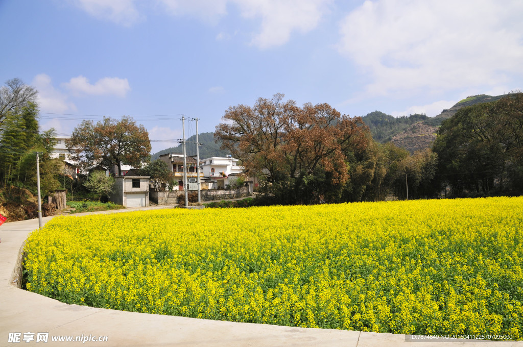 石潭村风光