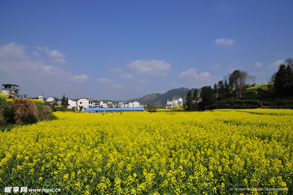 石潭村风光