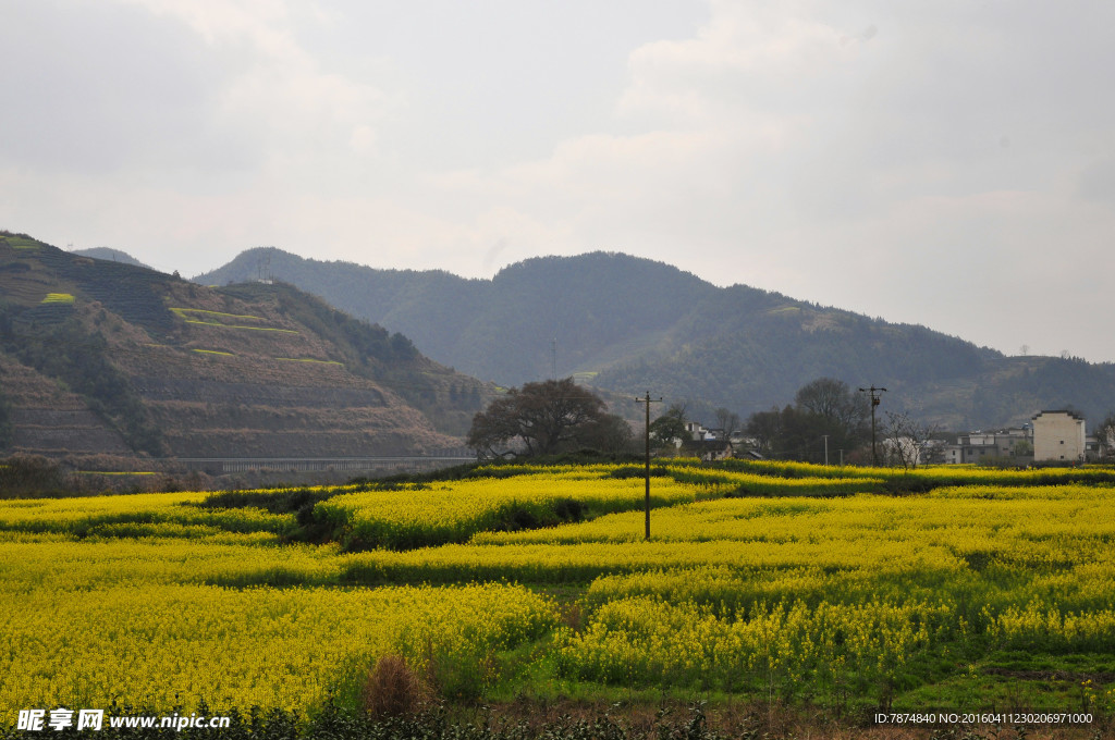 石潭村风光