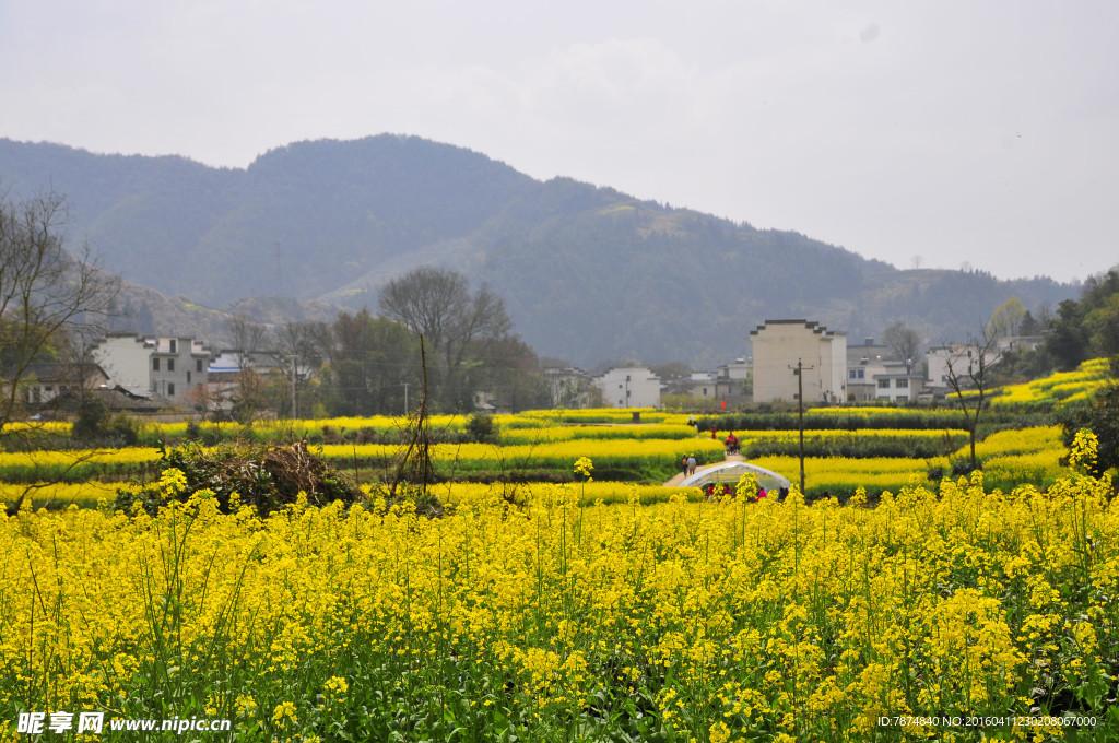 石潭村风光