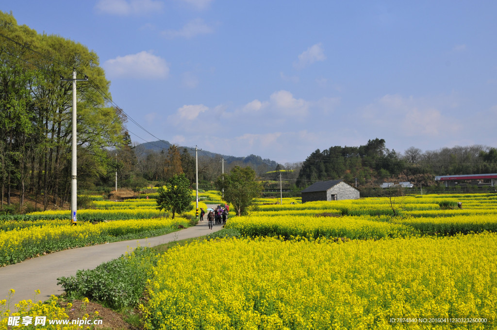 石潭村风光