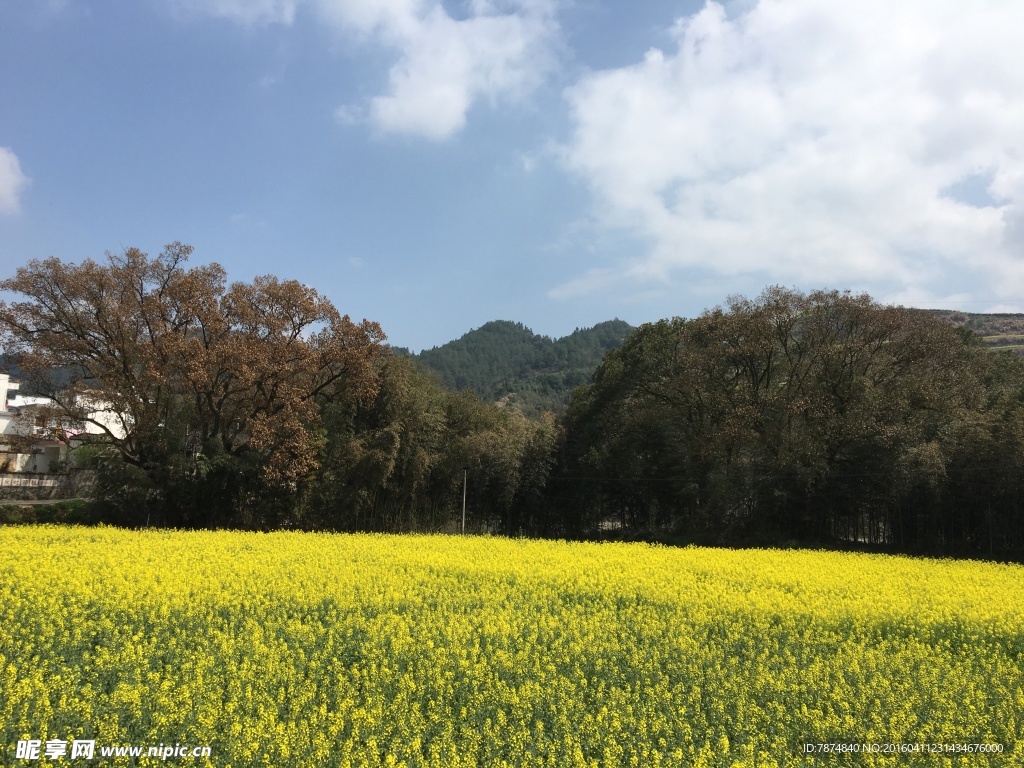 石潭村风光