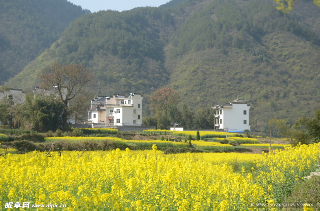 石潭村风光