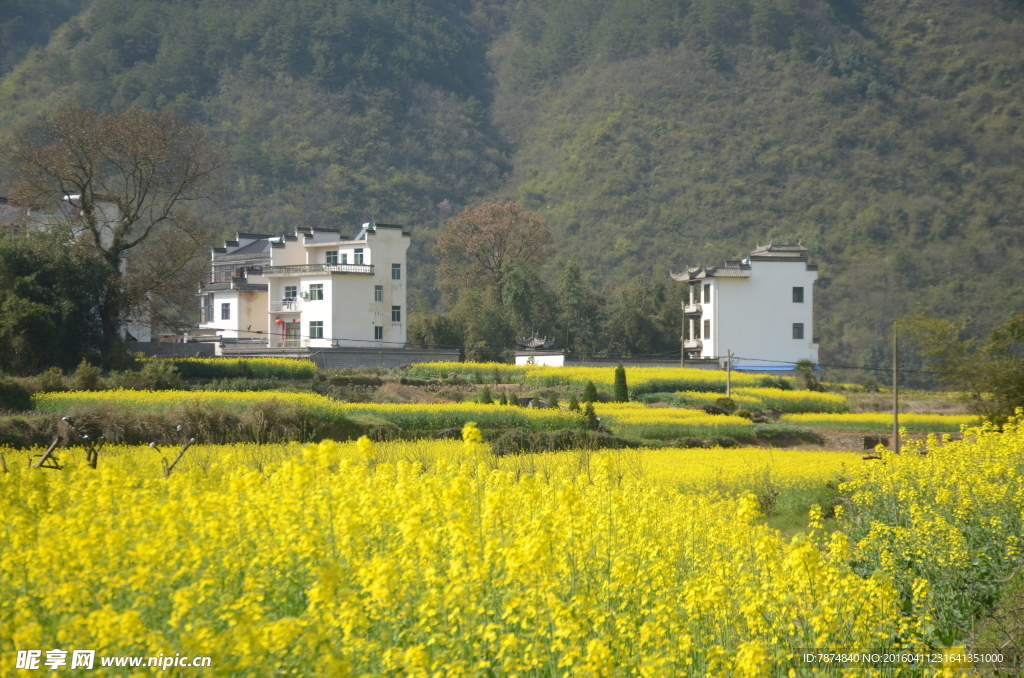 石潭村风光