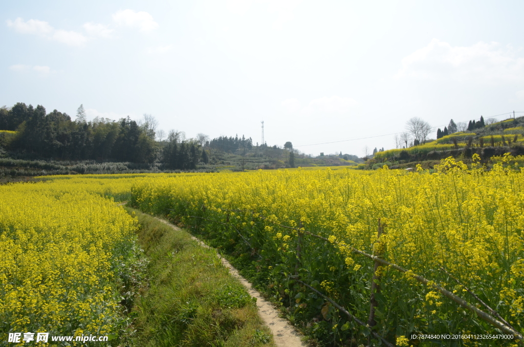 石潭村风光