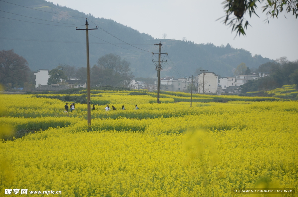 石潭村风光