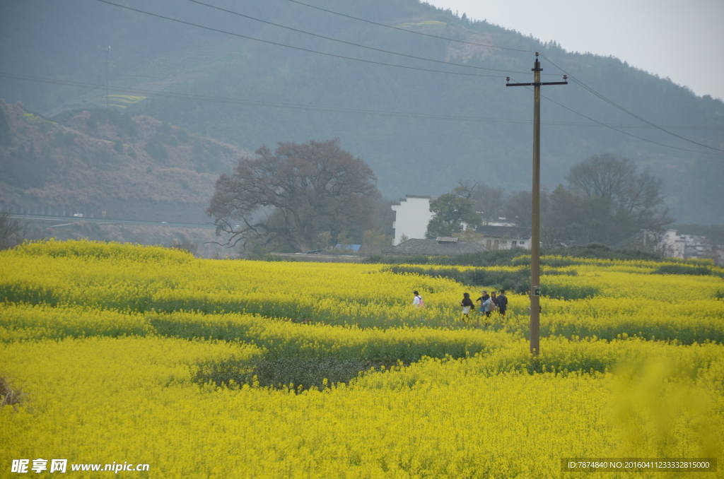 石潭村风光