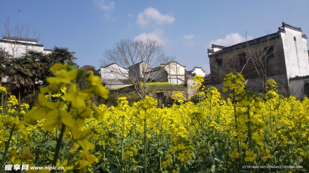 石潭村风光