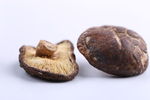 香菇摄影图片
