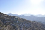 山景