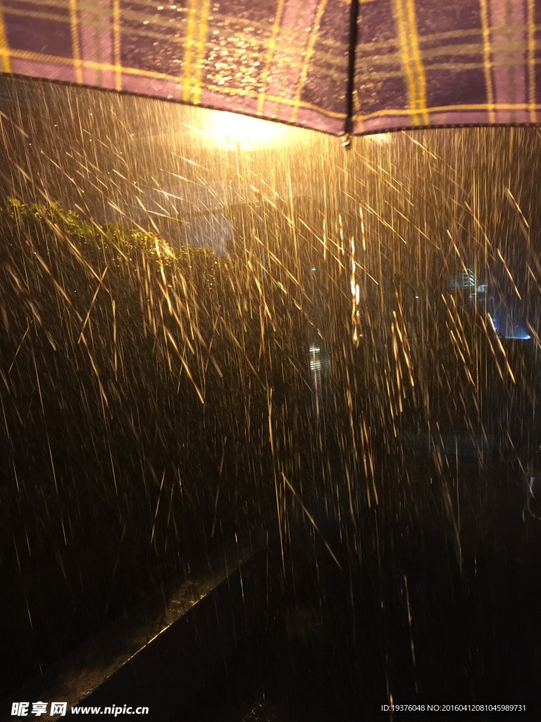 雨中