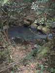 溪流 溪水 山泉
