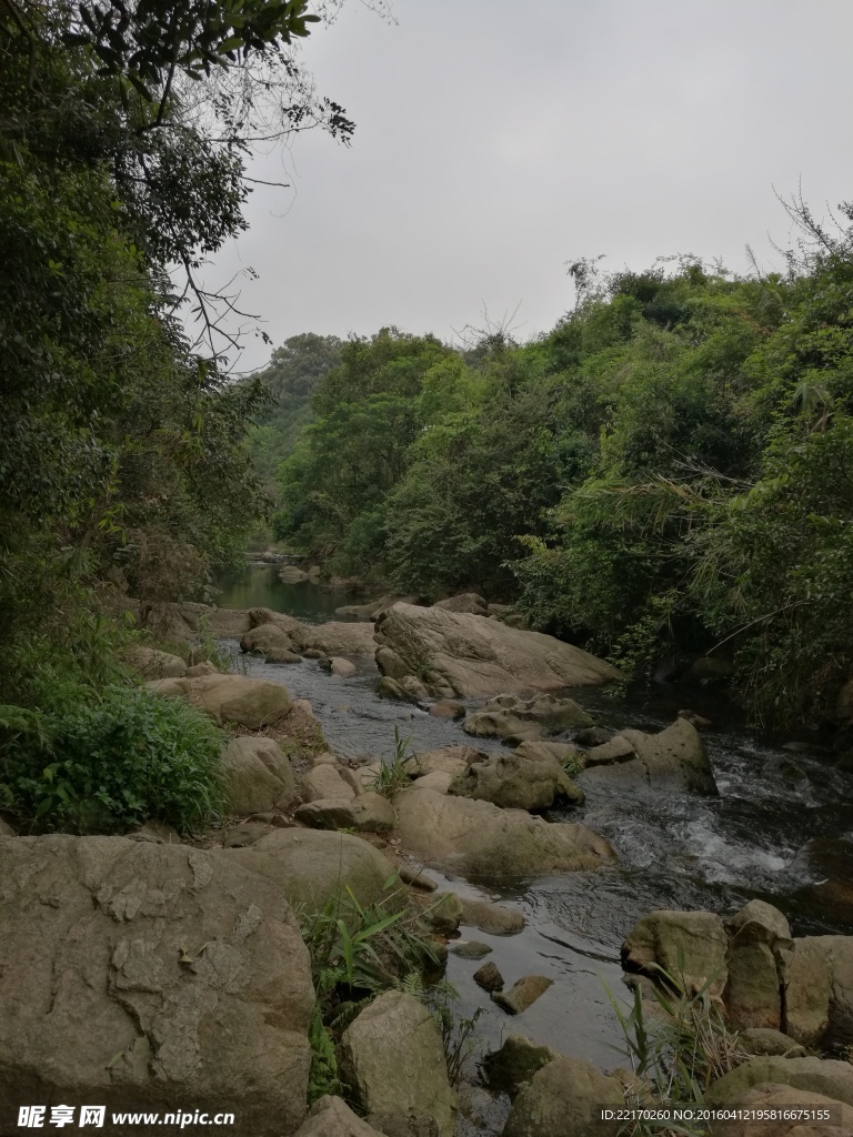 溪流 溪水 山泉