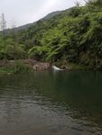 溪流 溪水 山泉