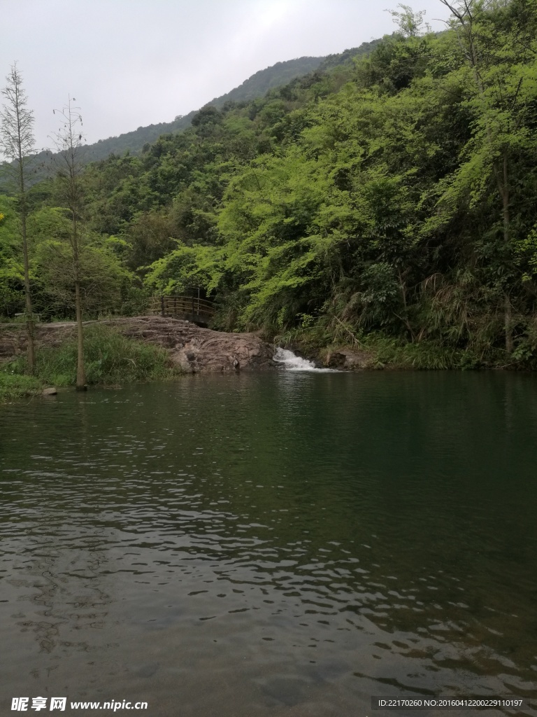 溪流 溪水 山泉