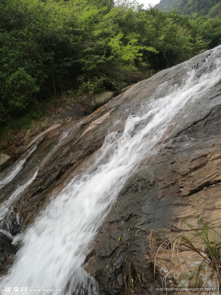 溪流 溪水 山泉