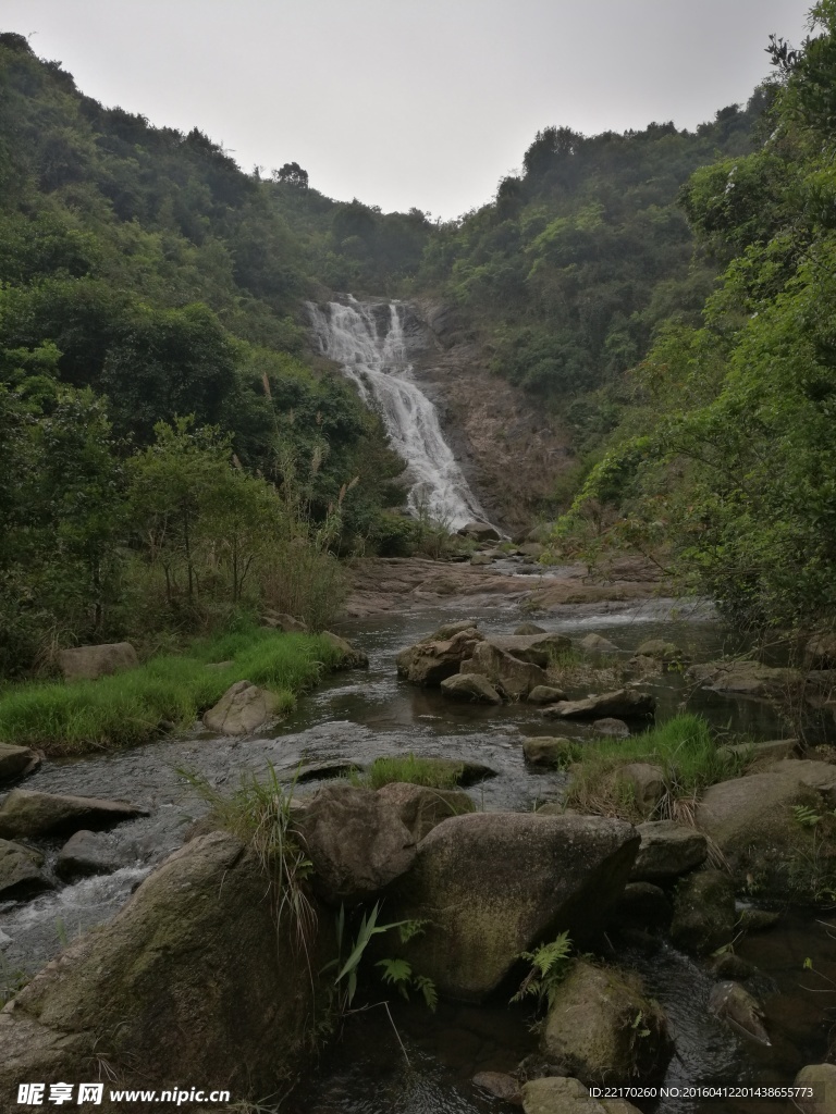 溪流 溪水 山泉