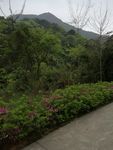 山林 林间小道