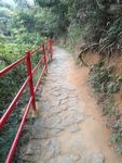 山林 林间小道