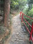 山林 林间小道