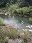 溪流 溪水 山泉