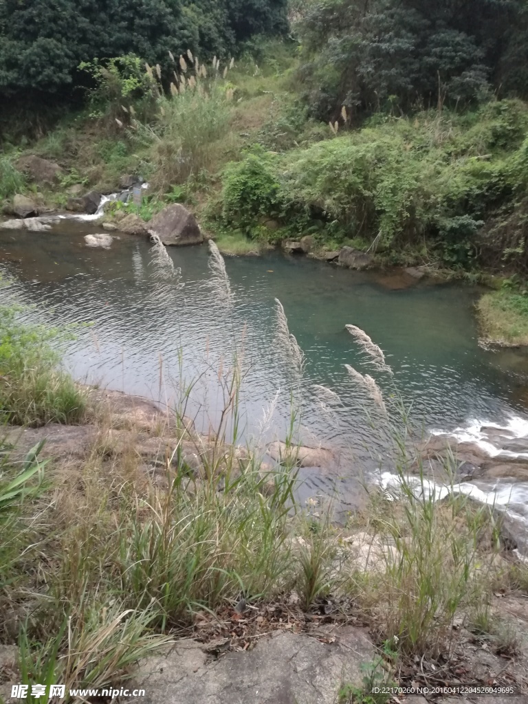 溪流 溪水 山泉