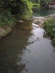 溪流 溪水 山泉